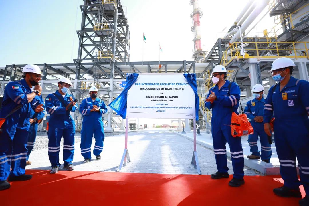  | ͲĿ幤ȫ潨ɣĴվɹͶ