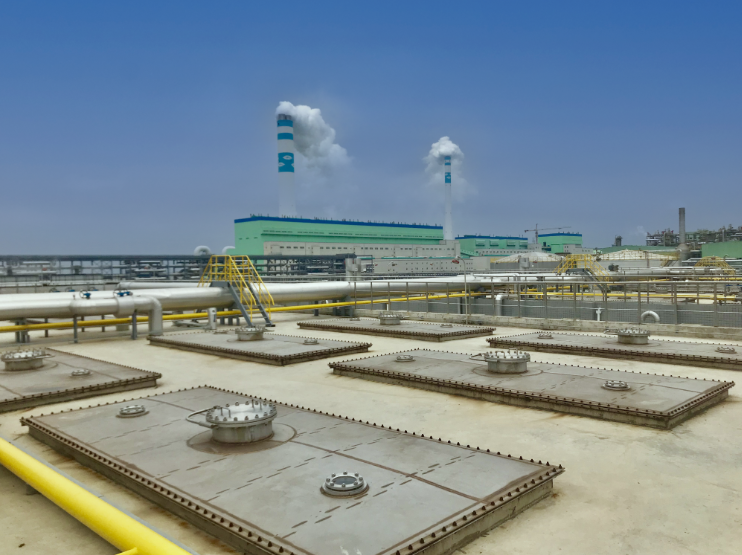 жԴ±195.54ԪɳԴĿǩ