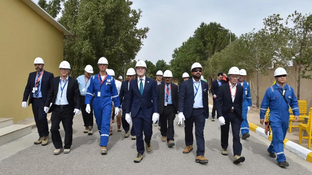 CPECCϲ˾бBNGLĿж¾