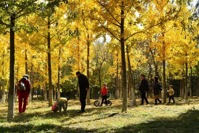 打造高质量发展的强劲引擎——从区域协调发展看奋进中国的发展新空间 打造高质量发展的强劲引擎——从区域协调发展看奋进中国的发展新空间