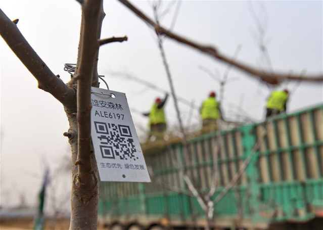 打造高质量发展的强劲引擎——从区域协调发展看奋进中国的发展新空间 打造高质量发展的强劲引擎——从区域协调发展看奋进中国的发展新空间