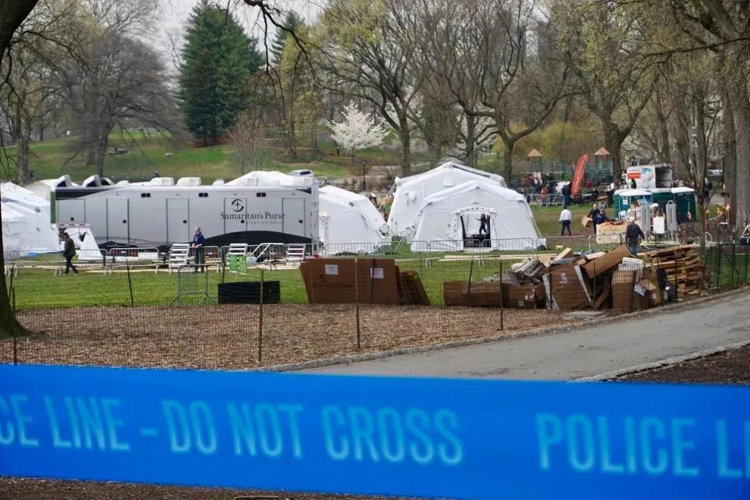 1586251547680031.jpg 66.jpg