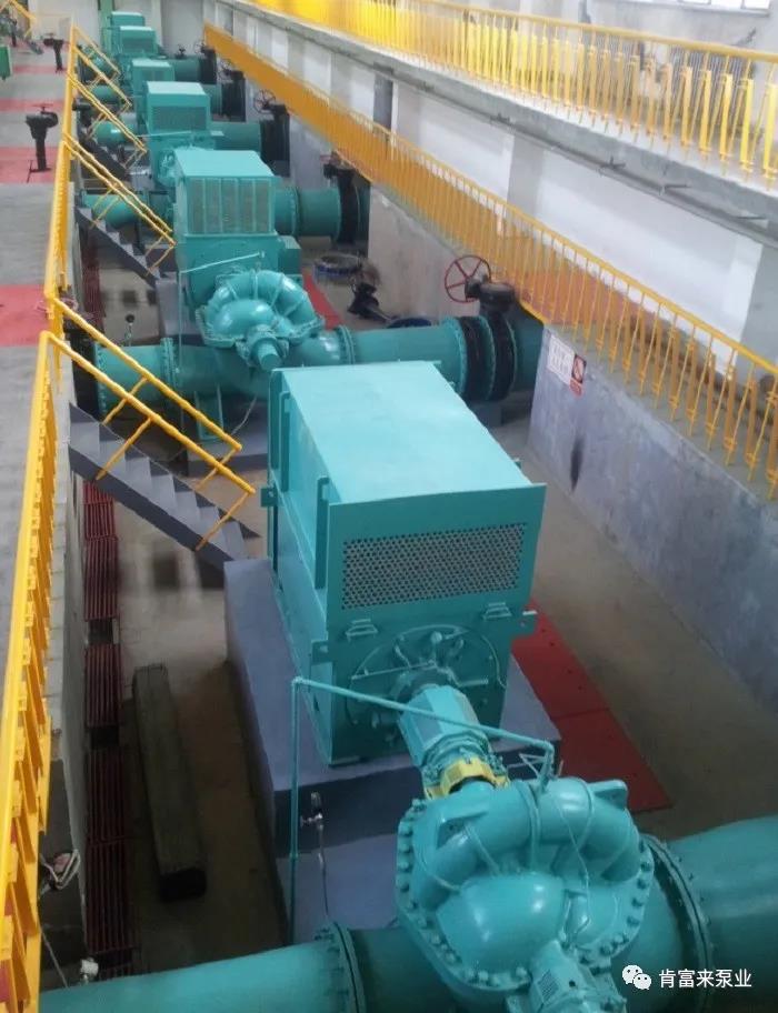 1586318999574517.jpg 66.jpg