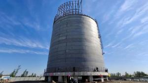 Ŀ衿LNGĿLNGǰ10찲ȫ