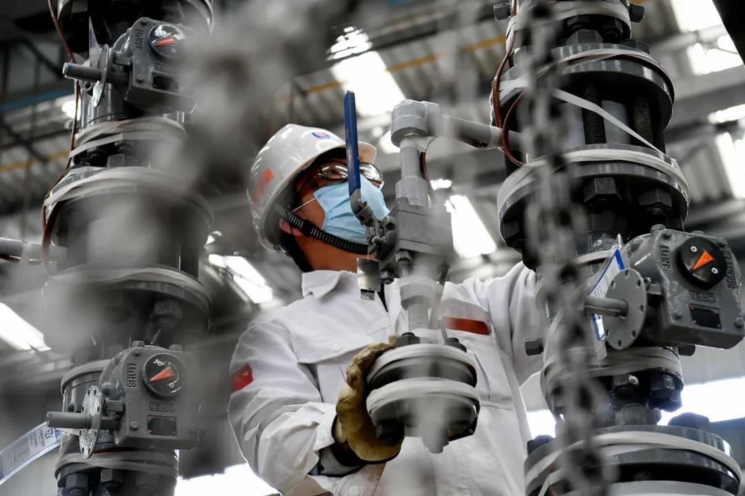 1588222915511863.jpg 6.jpg