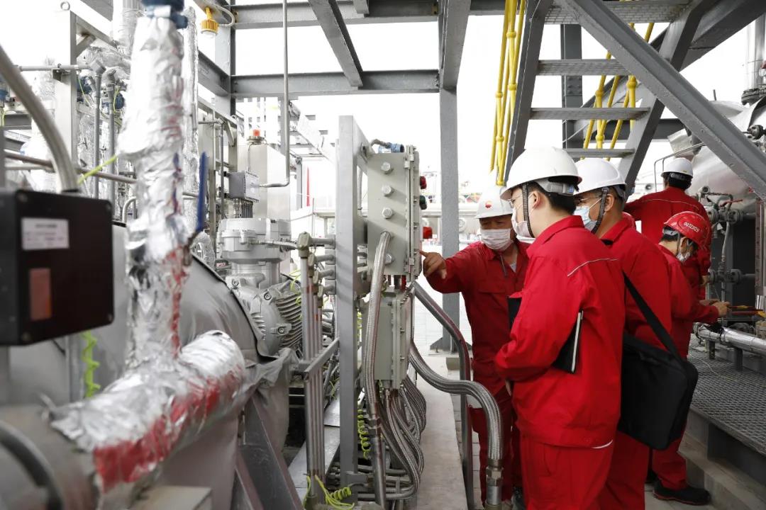 1589857795551710.jpg 7.jpg