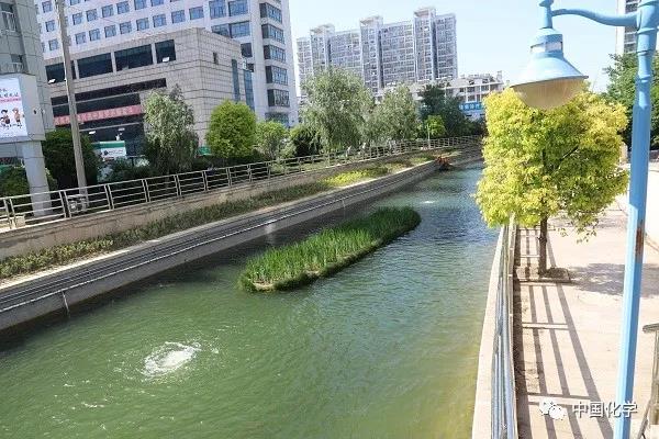 1590704188554163.jpg 22.jpg