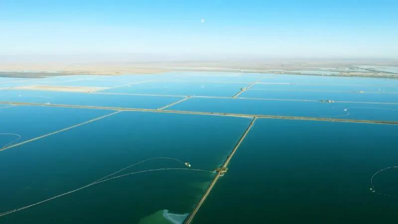 守望盐湖,ABB智能配电为盐湖化工插上腾飞“翅膀” 守望盐湖,ABB智能配电为盐湖化工插上腾飞“翅膀”