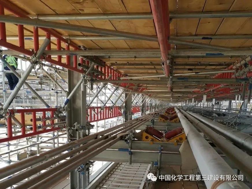 1591915580714241.jpg 10.jpg