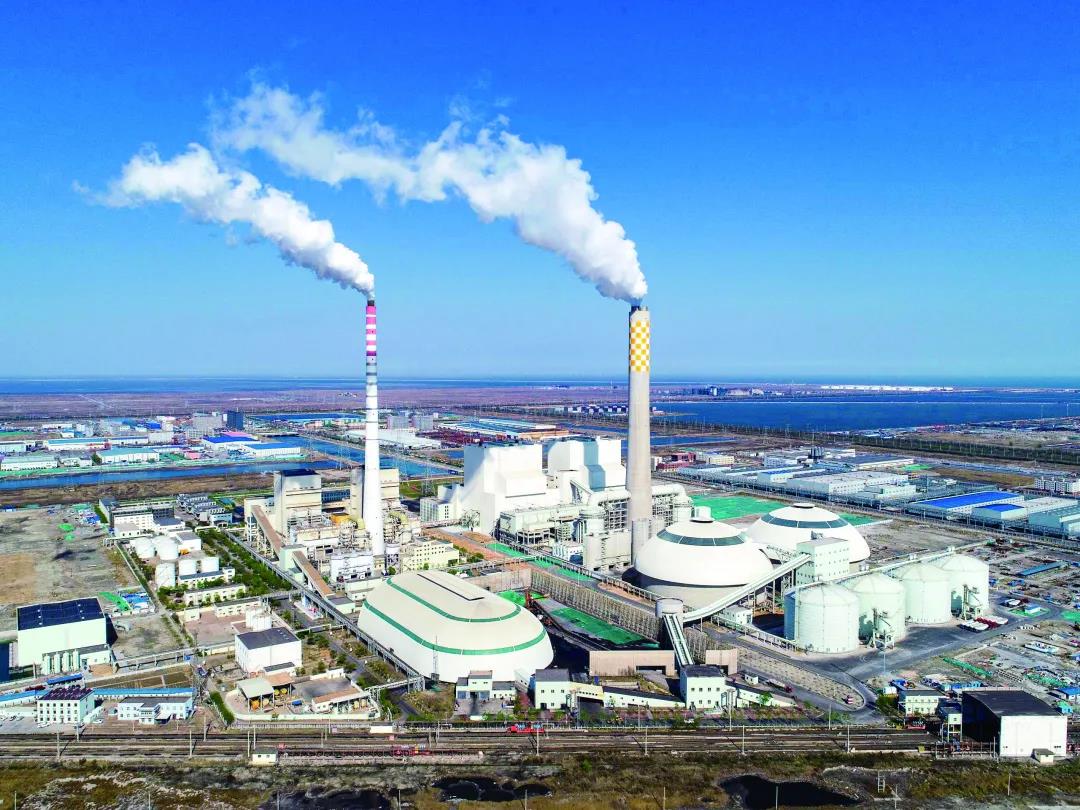 1593393502125713.jpg 8.jpg