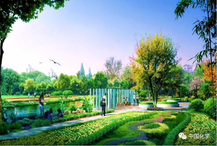 1596619350122403.jpg 2.jpg