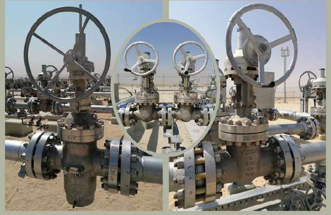 精控阀门以工程应用为驱动力推动公司持续发展 精控阀门以工程应用为驱动力推动公司持续发展