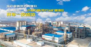 ȫҵ| ʯ240/PTAĿʽͶ