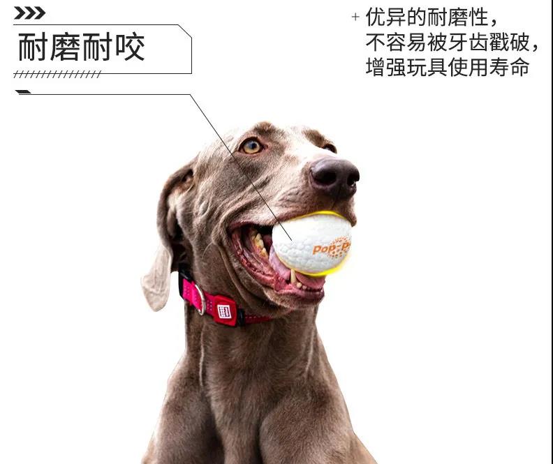 巴斯夫上海创新园三期正式启动建设 巴斯夫上海创新园三期正式启动建设