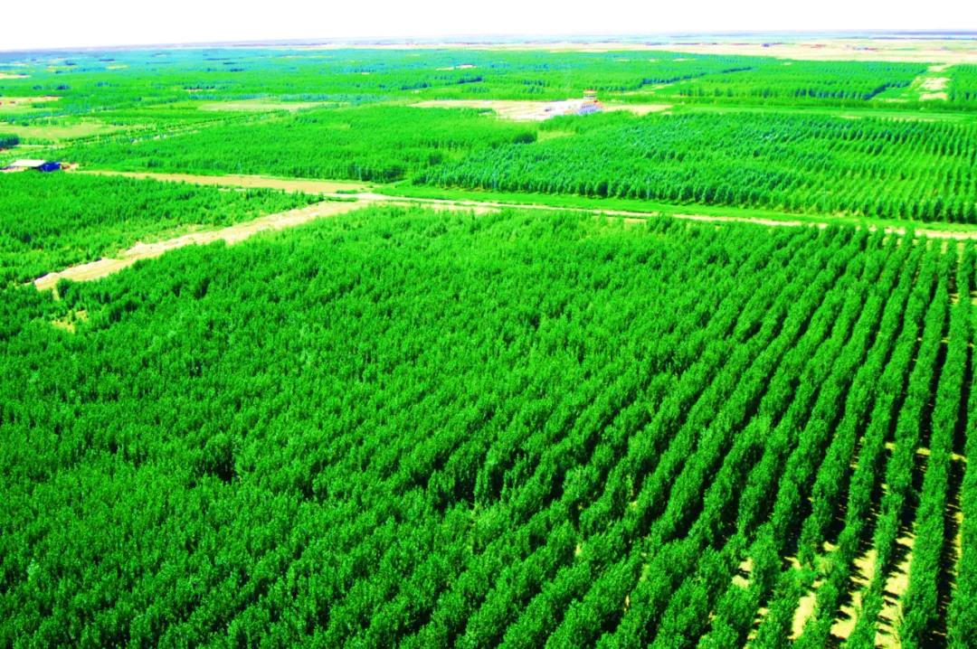 天然气占比超50%!中国石油油气结构变化背后意味着什么? 天然气占比超50%!中国石油油气结构变化背后意味着什么?