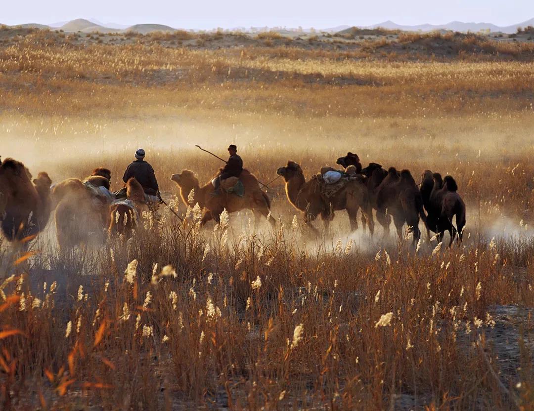 INTLEF智能石油装备制造新疆项目启动 INTLEF智能石油装备制造新疆项目启动