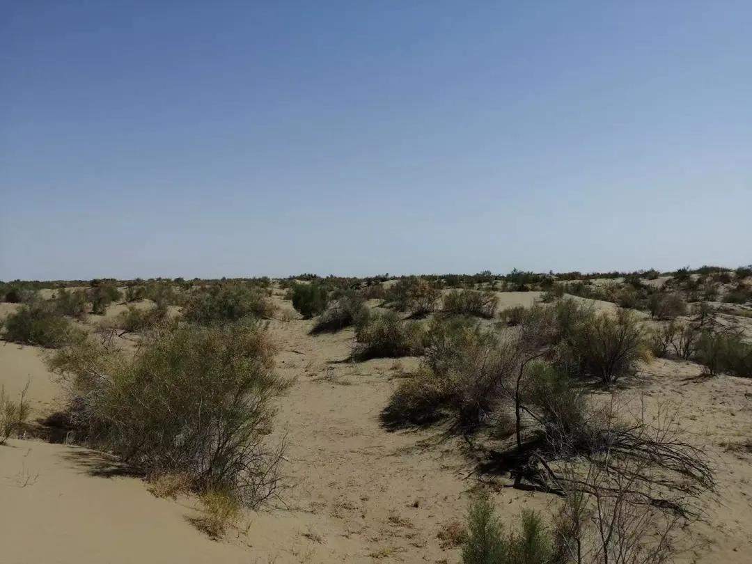 转观念 勇担当 高质量 创一流丨土库曼西部气田地面工程EPCC项目正式签约 转观念 勇担当 高质量 创一流丨土库曼西部气田地面工程EPCC项目正式签约