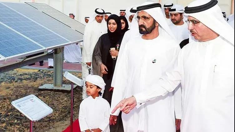 国复咨询 | 阿联酋可再生能源市场政策、机遇与挑战 国复咨询 | 阿联酋可再生能源市场政策、机遇与挑战