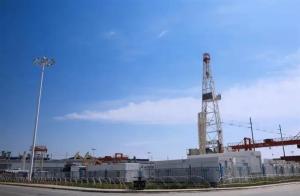 ʯװ˾Ӵг ȫ꾭Ӫָ54.6%