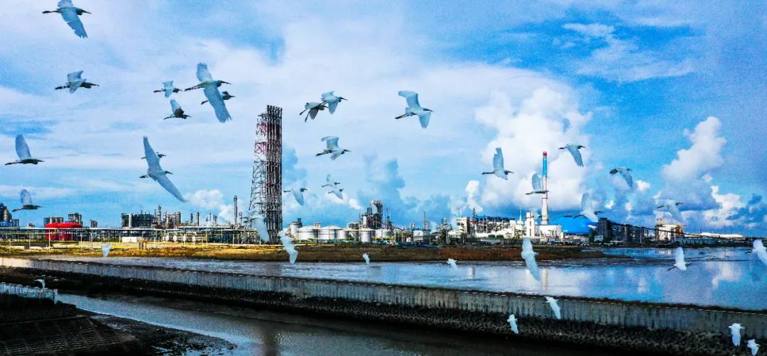 重磅!中国石化2021年宣传片正式发布! 重磅!中国石化2021年宣传片正式发布!