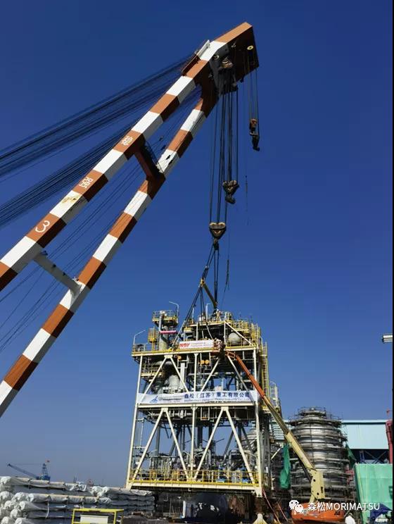 Զ | BP Tortue MEGģ˳