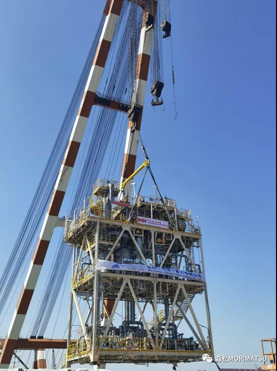 Զ | BP Tortue MEGģ˳