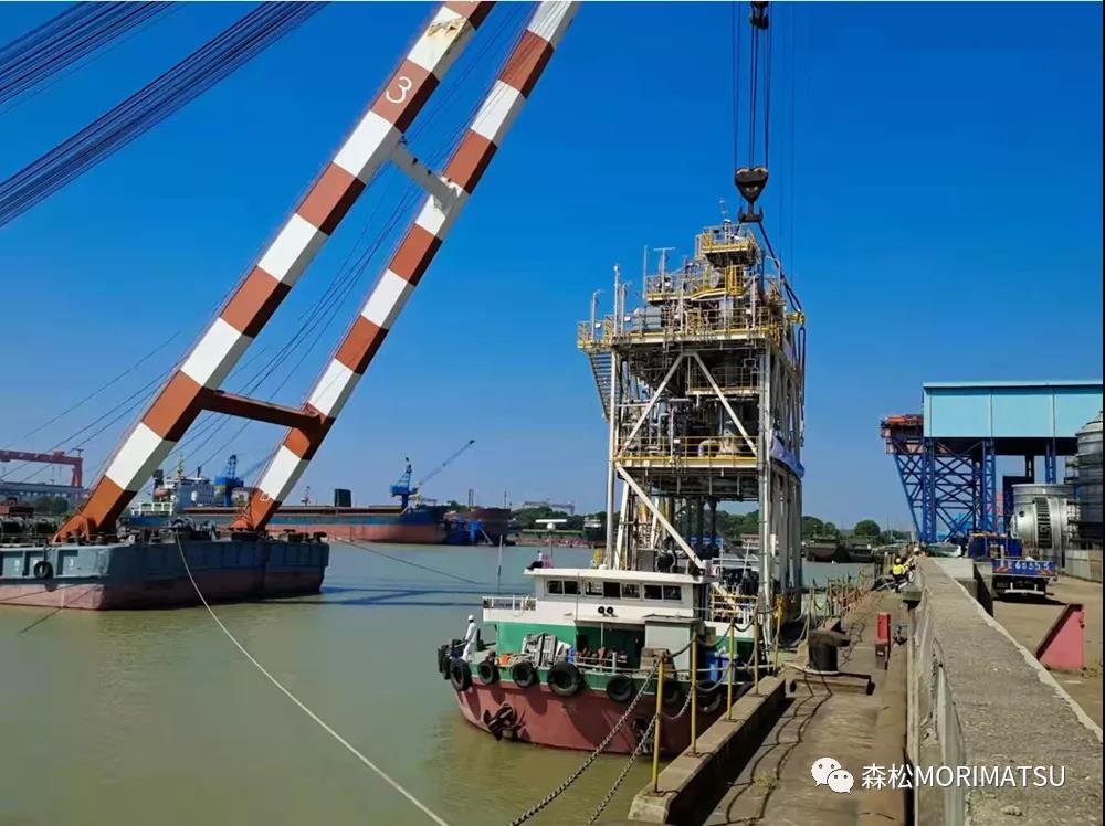 Զ | BP Tortue MEGģ˳