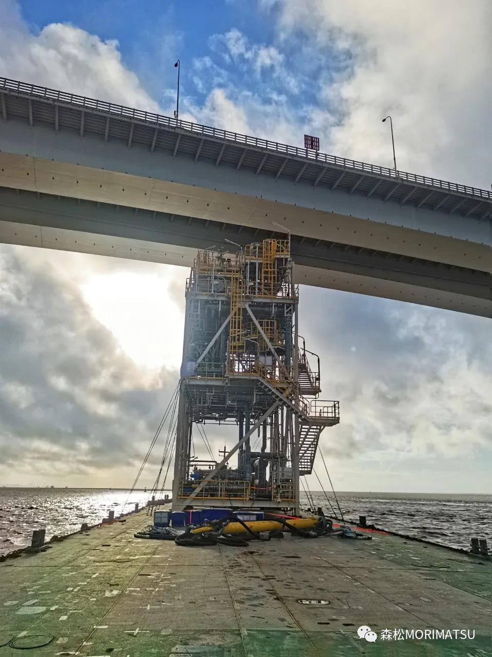 Զ | BP Tortue MEGģ˳