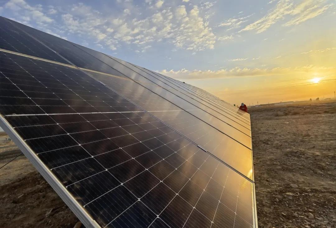 1635296520963071.jpg 1635296520963071.jpg