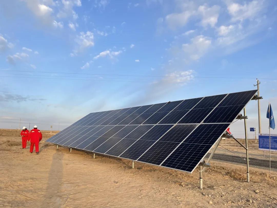 1635296521913497.jpg 1635296521913497.jpg