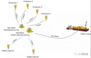 8Ԫʯ͹˾PetroRiaȫWahool