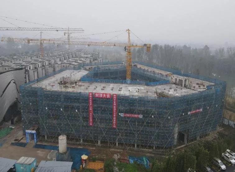 七化建项目动态 七化建项目动态