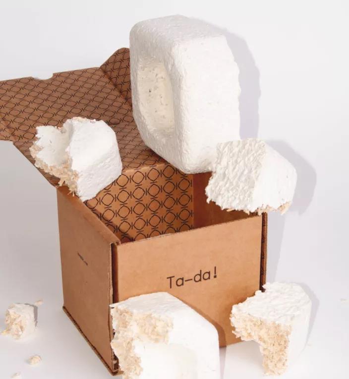 从原料到产品,欧美15家生物基材料领先企业盘点! 从原料到产品,欧美15家生物基材料领先企业盘点!