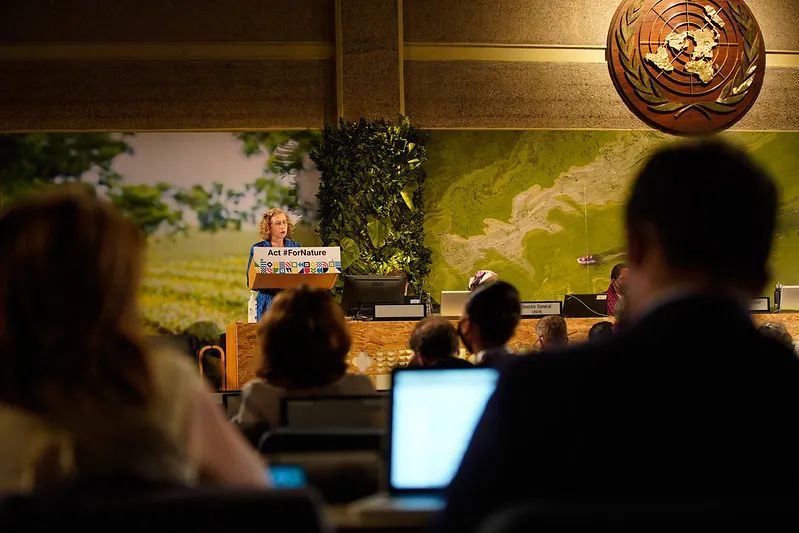 第五届联合国环境大会续会开幕 聚焦塑料污染全球协议 第五届联合国环境大会续会开幕 聚焦塑料污染全球协议