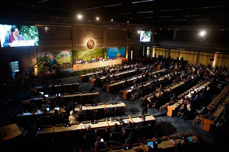 第五届联合国环境大会续会开幕 聚焦塑料污染全球协议 第五届联合国环境大会续会开幕 聚焦塑料污染全球协议