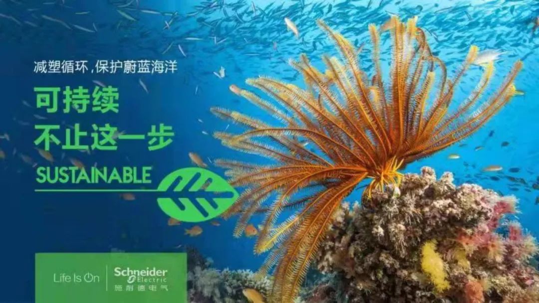 ʩ͵µ̼кҵʵ־ЧЧ˫Ӯ