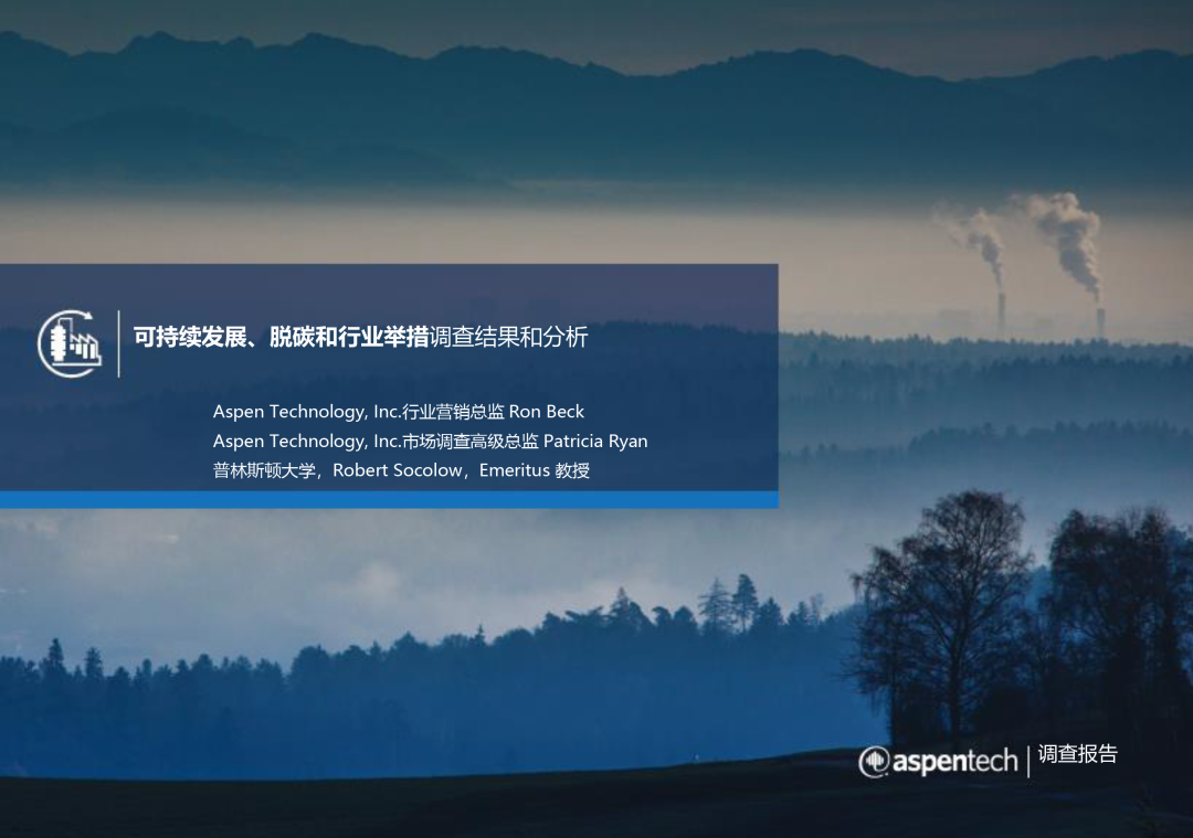 可持续发展、脱碳和行业举措调查结果和分析 可持续发展、脱碳和行业举措调查结果和分析