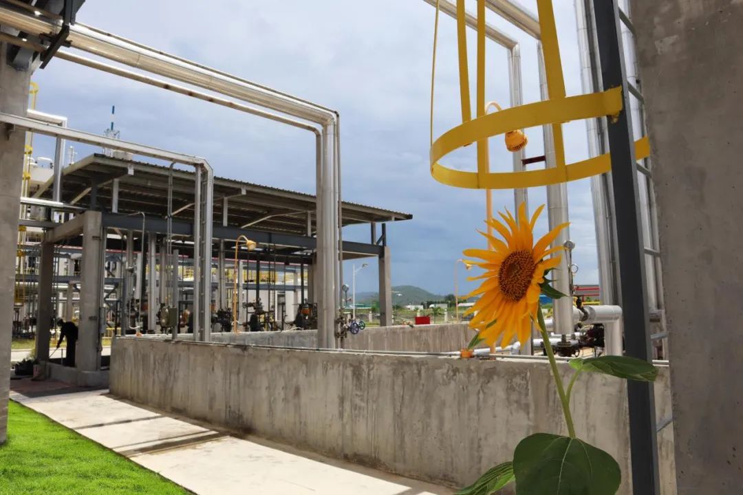 中化国际泰国工厂投产运营 首批订单顺利发货! 中化国际泰国工厂投产运营 首批订单顺利发货!