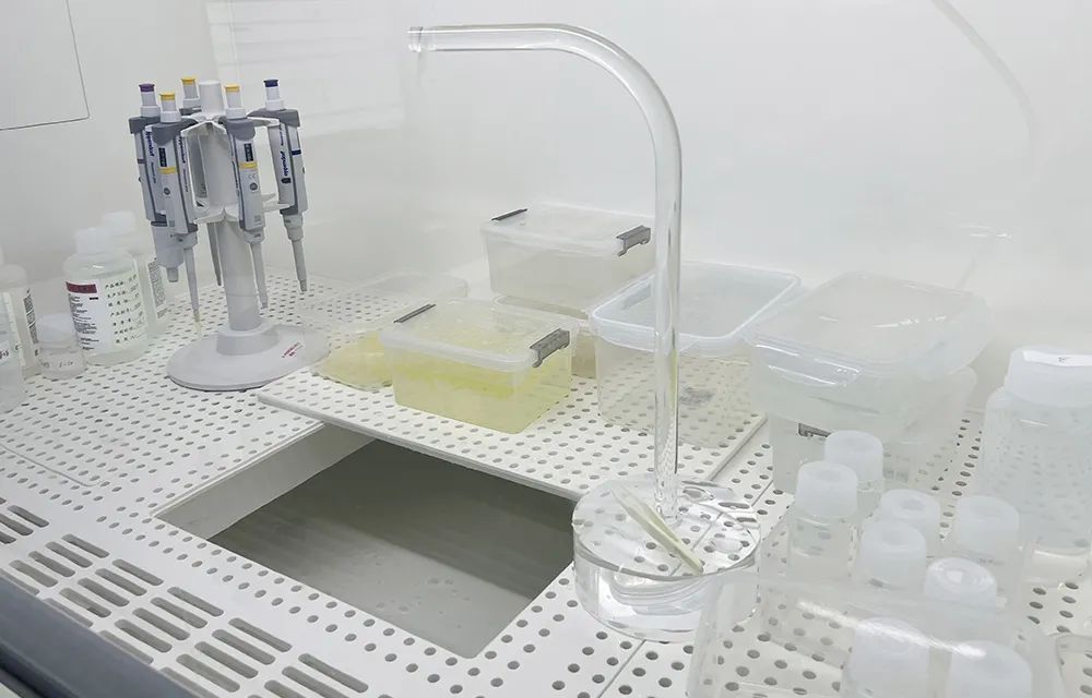 您尽可仰望星空,我负责微观洞察,揭秘飞潮测控中心 您尽可仰望星空,我负责微观洞察,揭秘飞潮测控中心