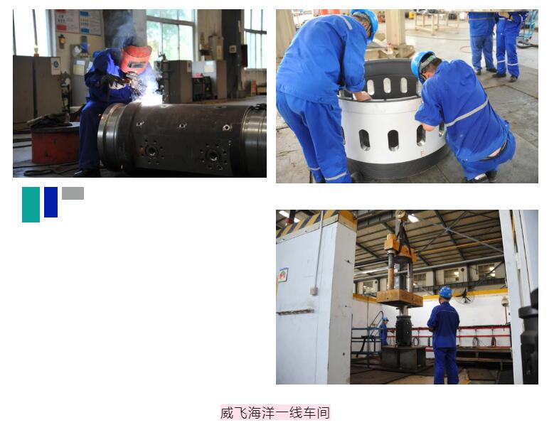 吹响冲锋号角 | 威飞海洋全力打好项目攻坚突击战 吹响冲锋号角 | 威飞海洋全力打好项目攻坚突击战