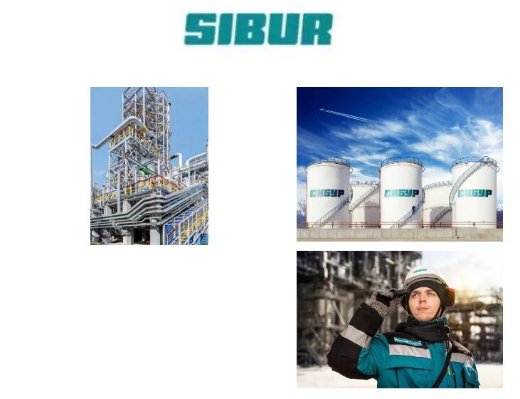 西布尔到访中德 双方期待更深合作 西布尔到访中德 双方期待更深合作