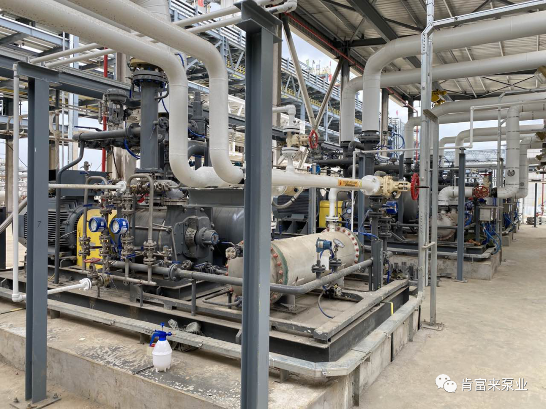 肯富来&万华化学丨战略合作-“百年品牌”肯富来再揭新篇章 肯富来&万华化学丨战略合作-“百年品牌”肯富来再揭新篇章