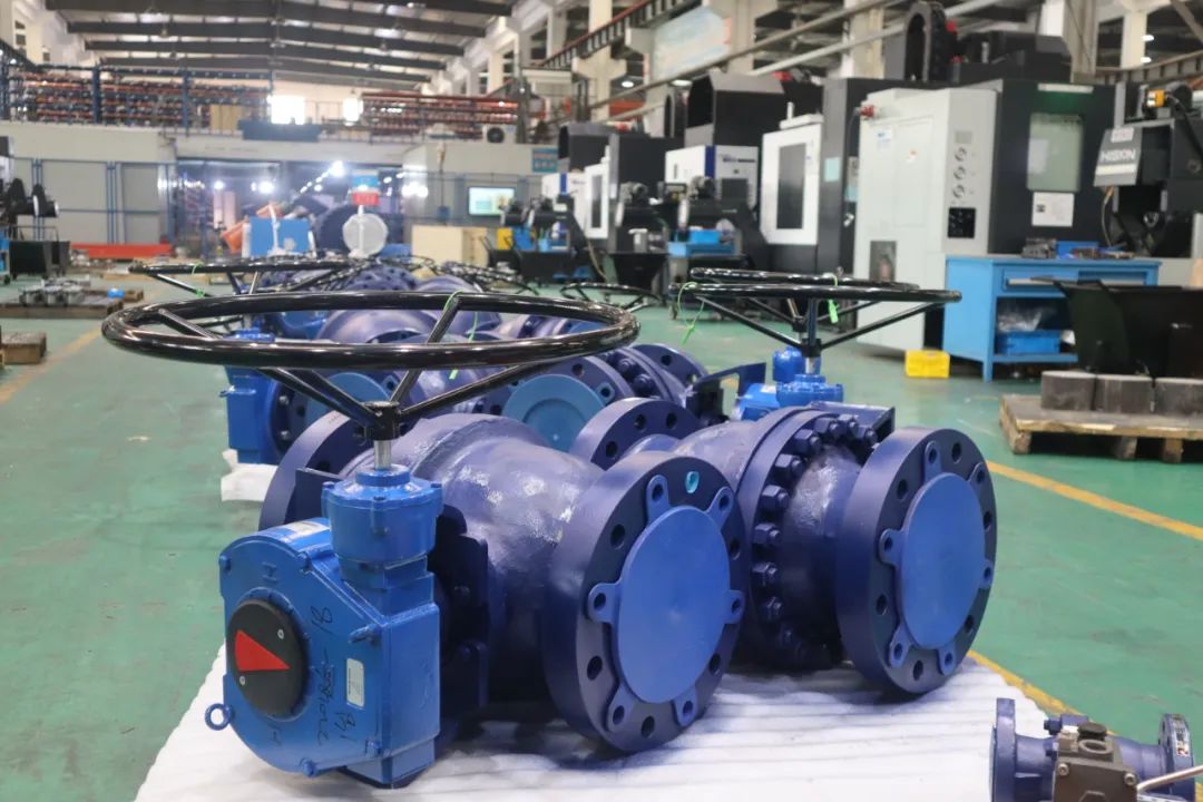 1667444931992585.jpg 1667444931992585.jpg