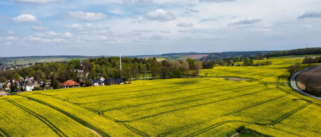 KBR领先的合成氨技术赢得大型低碳项目合同 KBR领先的合成氨技术赢得大型低碳项目合同