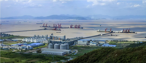 Ͷʳ1000ڣʯװüƻͶ3ϩ+֬+߶²ϣ