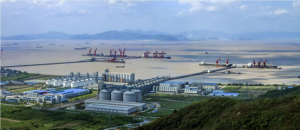 Ͷʳ1000ڣʯװüƻͶ3ϩ+֬+߶²ϣ