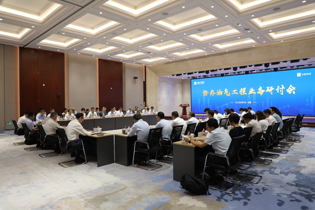 携手开发海外油气资源 落实国家能源安全战略 海外油气工程业务研讨会成功举办 携手开发海外油气资源 落实国家能源安全战略 海外油气工程业务研讨会成功举办