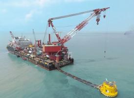 йʯͳнϼ׸ʽͶҵӪ