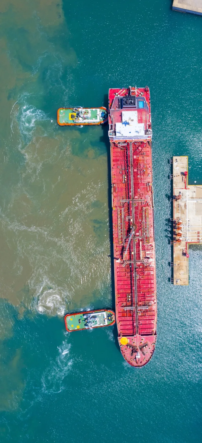 中标!唯一供应商! 中标!唯一供应商!