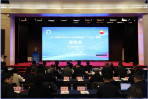 ʯ;Ժ2024ҵչߡʮ塱ҵչ